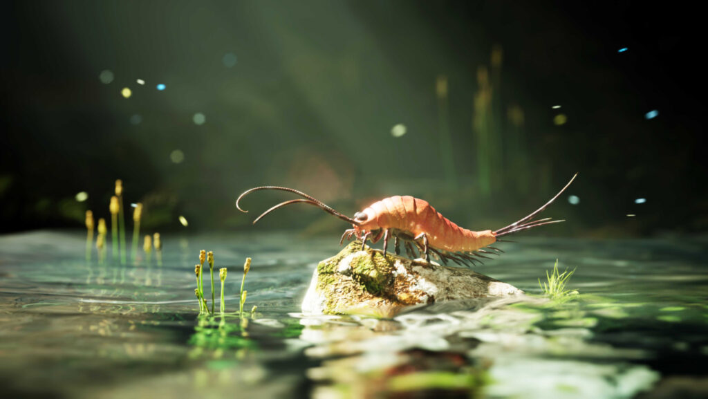 Once upon a time, insects had 24 legs