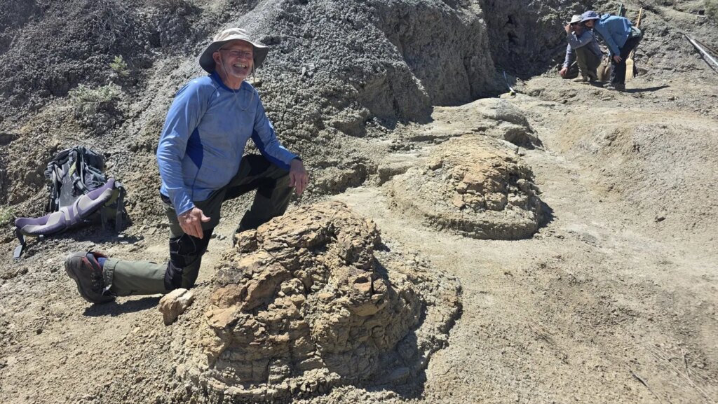 First series of adult T. rex footprints hints at its walking speed