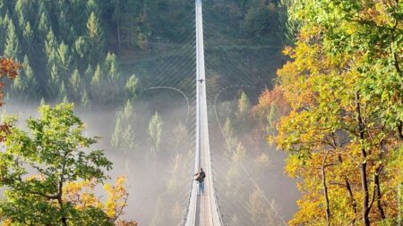 Germany’s best viewpoints from above