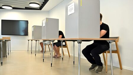 Saxony-Anhalt election: who is behind “tactical voting”