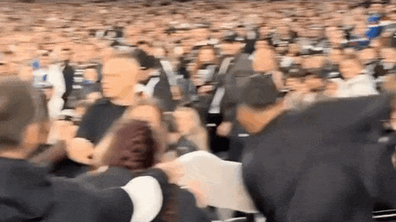 Four men ejected from MCG after fight during Collingwood-Western Bulldogs wildcard AFL game