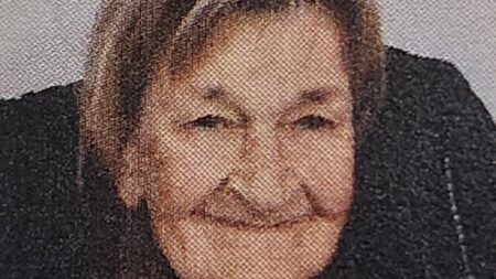 Search for missing woman with dementia in northern Sydney
