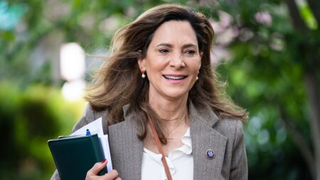 House GOP lawmaker under fire by fellow Republicans after ad bashing Trump on immigration