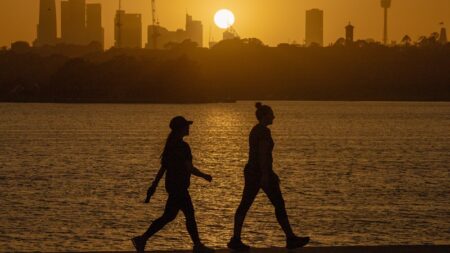 Total fire ban in place for Sydney as city set to reach 33 degrees