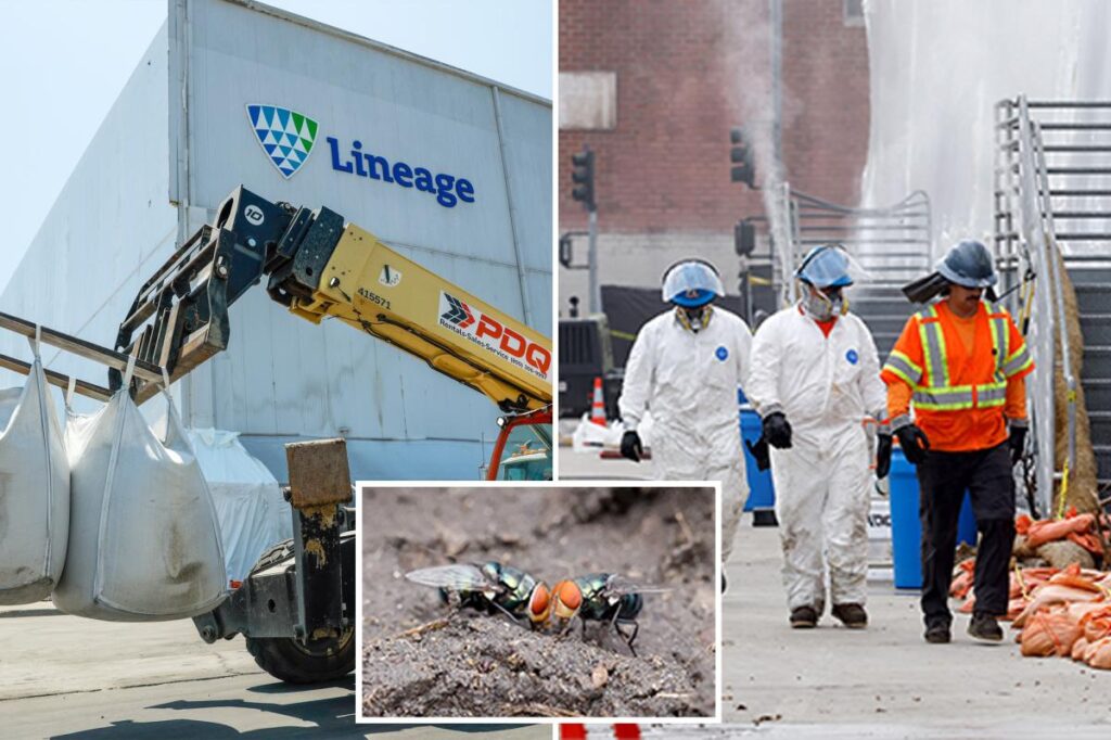 Lineage touts 101.8% cleanup completion, but there still may be food waste inside