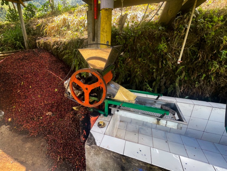 Coffee farmers received financial assistance and new machinery as part of the project [Catherine Ellis/Al Jazeera]