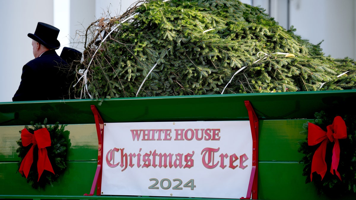 The White House Christmas tree of 2024