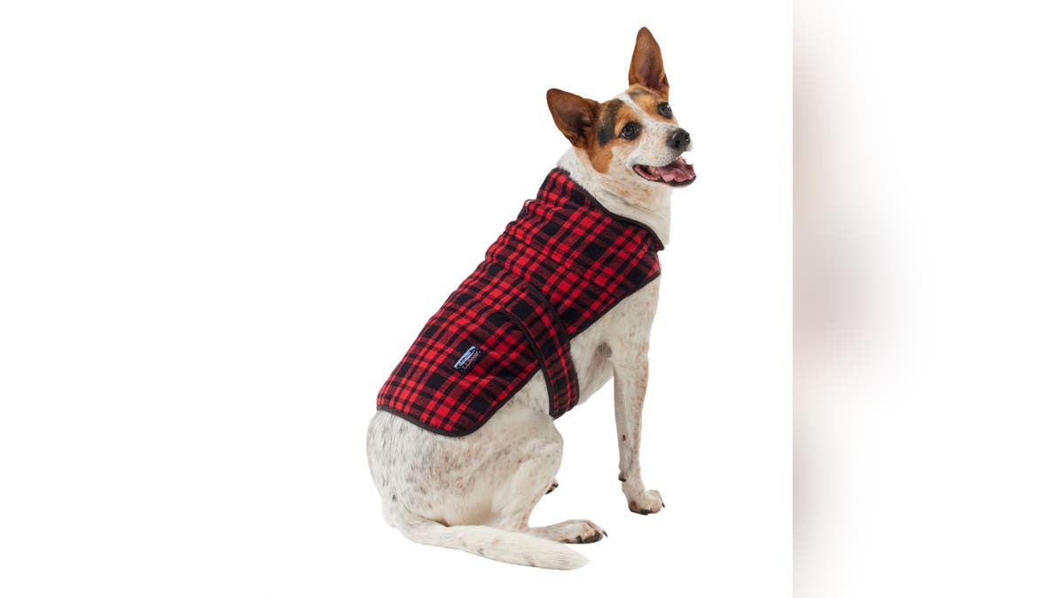 Turn your dog into an outdoor adventurer with this L.L. Bean jacket. 