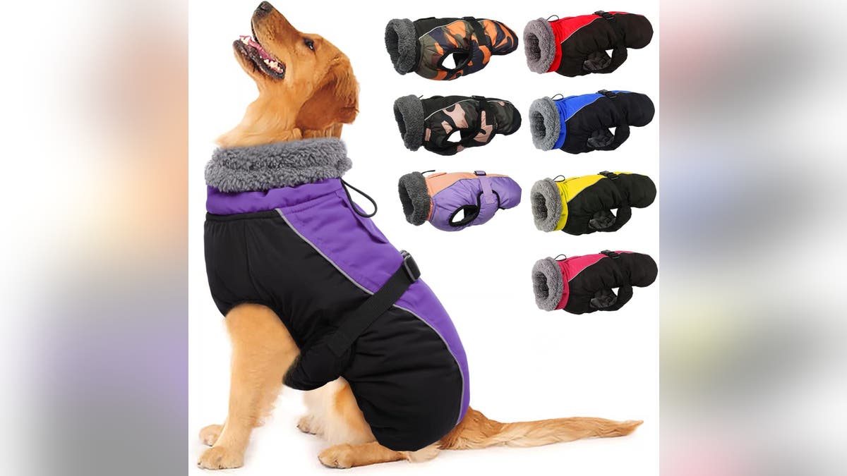 Your dog can stay outside for hours with this jacket. 