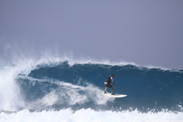 Professor Patrick McGorry catching a wave.