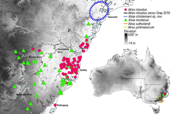 Distribution of classic Sydney funnel webs (pink dots), the wider-ranging southern Sydney funnel webs (green triangles) and the general location of Newcastle funnel webs (blue circle, exact locations obscured due to conservation fears).