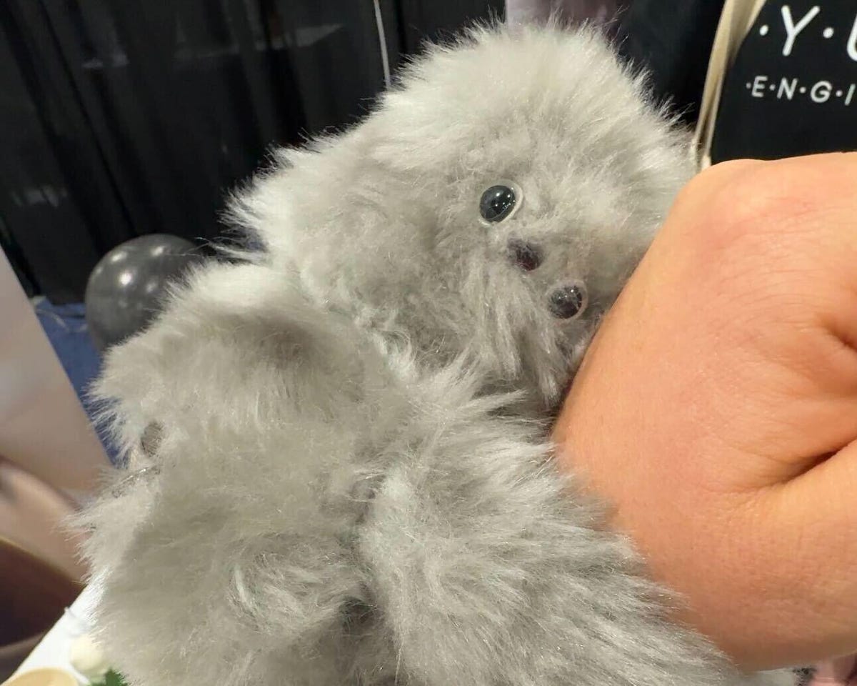 fluffy sloth toy hanging on someone's wrist