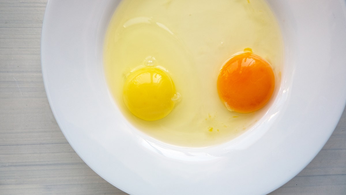 Raw eggs in a white plate. Yolks of different colors