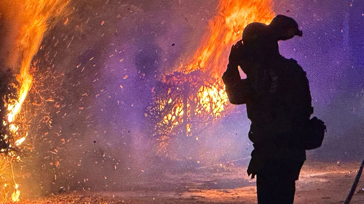 Hollywood Hills fire