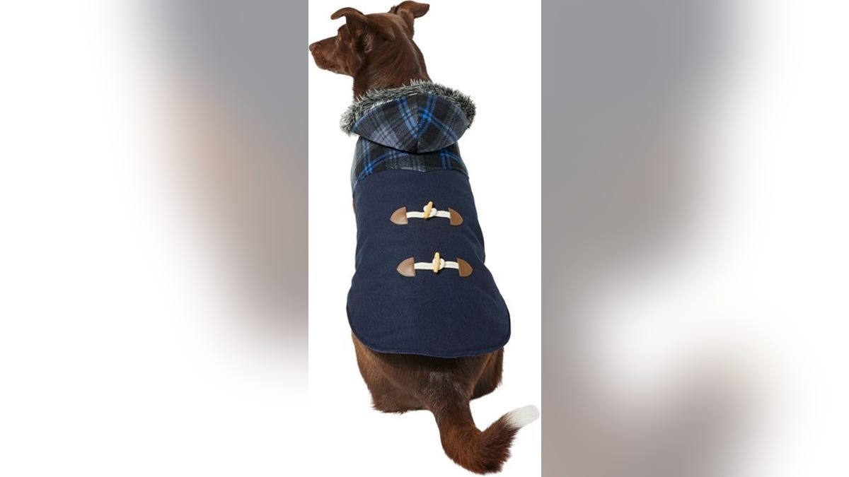 This adorable jacket is plenty warm for your dog. 