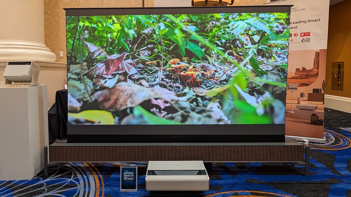 A large projection screen that rises from a base, along with a short-throw projector. A close-up image of ground cover is on the screen.