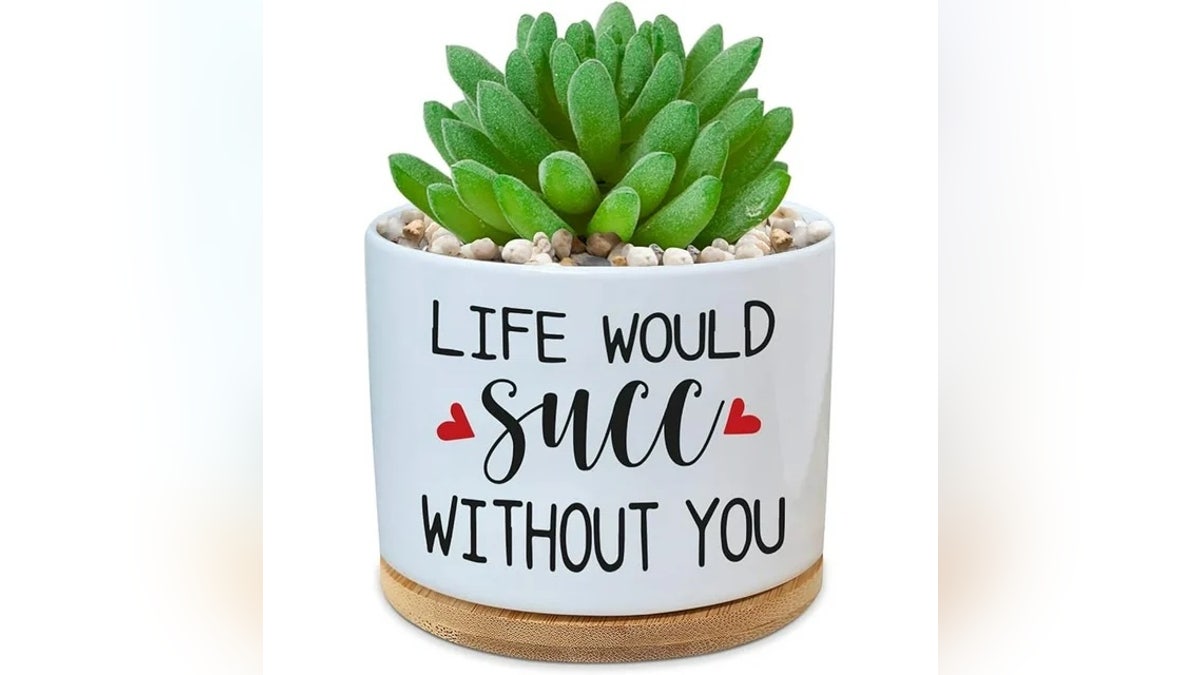 A succulent in a clever planter makes a charming and low-maintenance gift. 