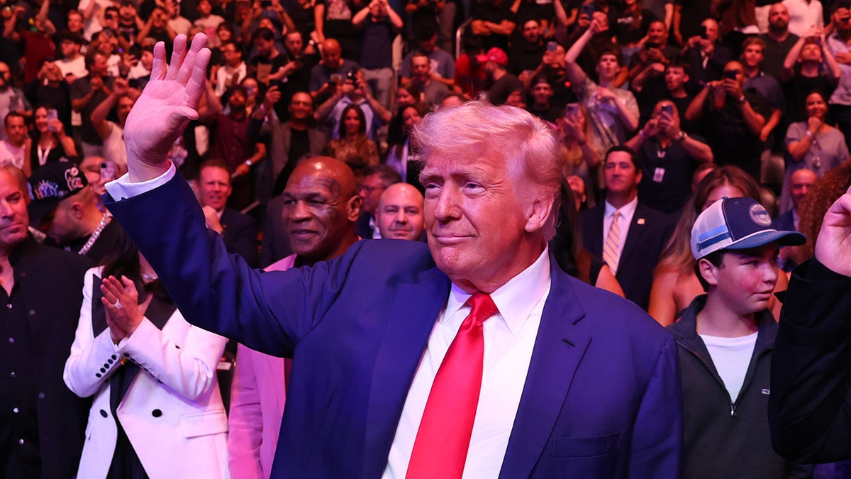 Trump at UFC