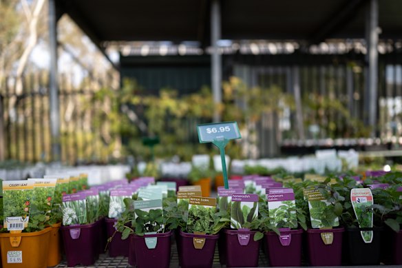 Social enterprises such as the plant nursery help fund CERES.