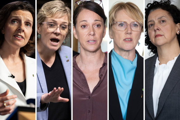 Allegra Spender, Zali Steggall, Sophie Scamps, Zoe Daniel, Monique Ryan: it takes at least two to teal.