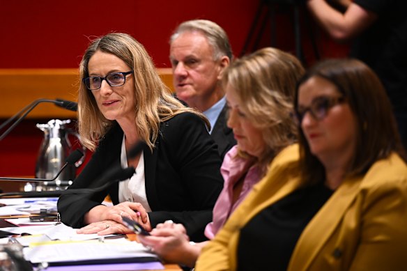 Greens MP Sue Higginson (left) has demanded all charges laid against the protesters be withdrawn.