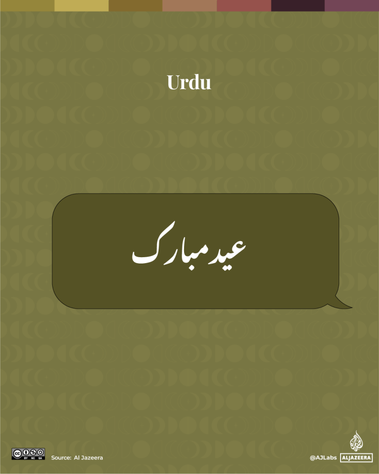 Interactive_Urdu-1748940270