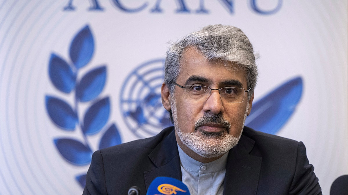 Iranian official speaking to the UN