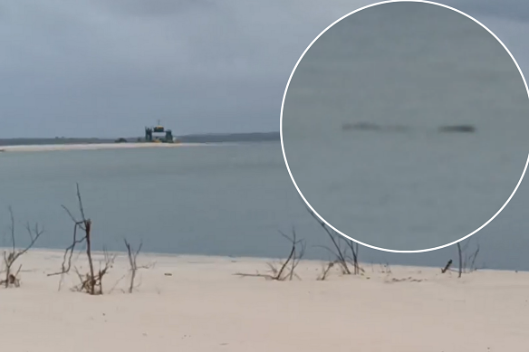 Video taken by camper Chris Kelly of another suspected crocodile near Rainbow Beach earlier this year.