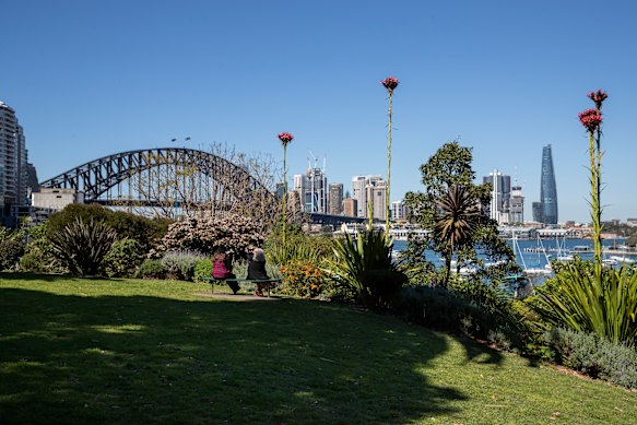 Harbour views at the perimeter of Wendy’s Secret Garden.