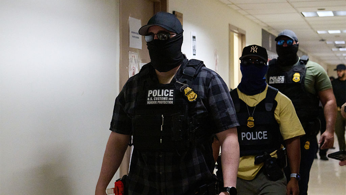 Federal immigration officers