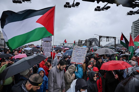 About 100,000 people braved the rain to attend the Harbour Bridge rally in Sydney earlier this month.