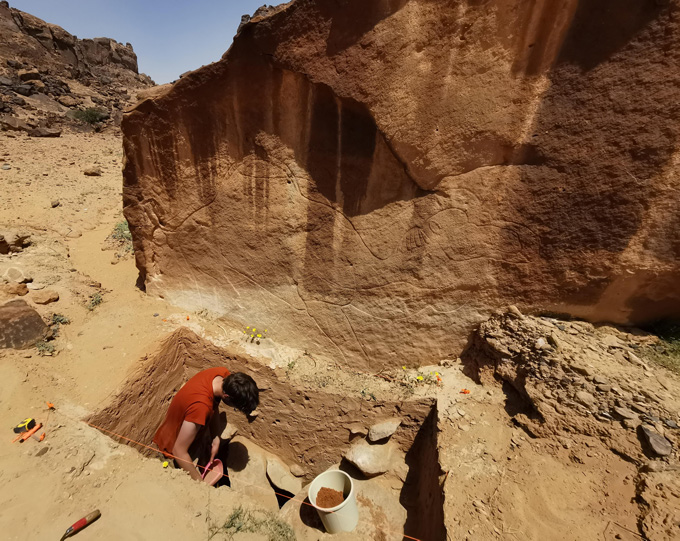 A researcher excavates a trench near the camel engravin