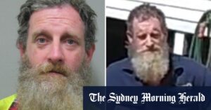 Forensic teams, dogs descend on scene of alleged murder