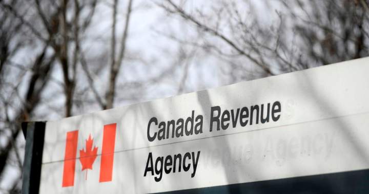 CRA says AI will help boost call centre accuracy for taxpayers seeking info