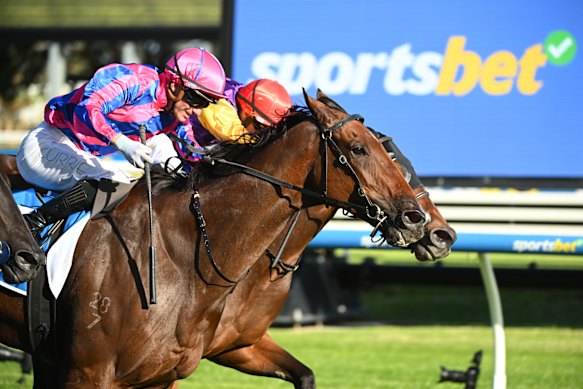 Australians lose $31.5 billion a year on gambling.