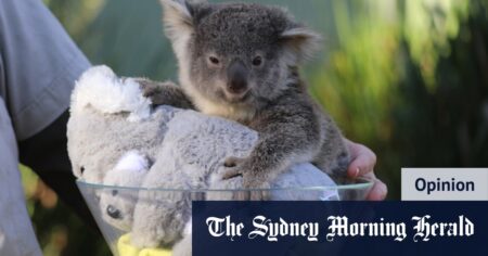 Our law to ‘save’ nature is a rubber stamp for species extinction