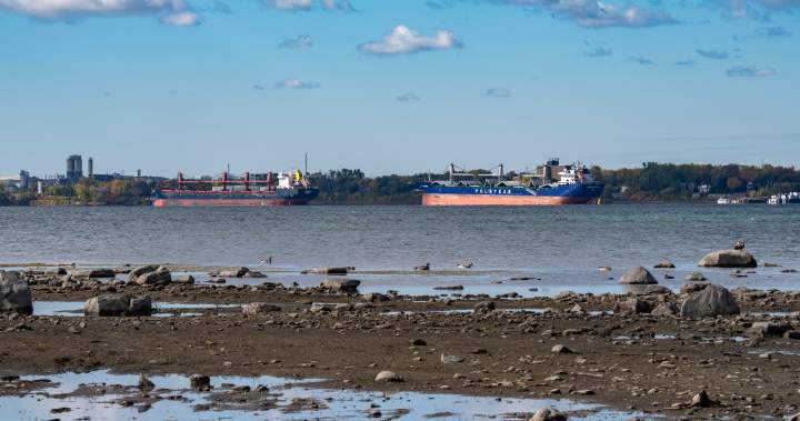 Low water levels on St. Lawrence River causing problems for marinas, shipping industry