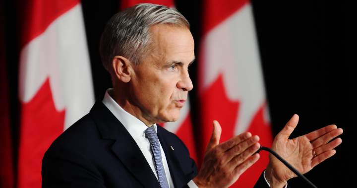 Carney is set to announce immigration plan. Where do levels stand now?