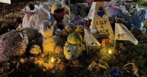 N.S. missing kids: Stepfather believes Jack, Lilly ‘didn’t wander’ into woods