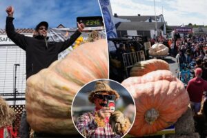 California gardening enthusiast wins biggest pumpkin contest: Here’s his massive, prized gourd