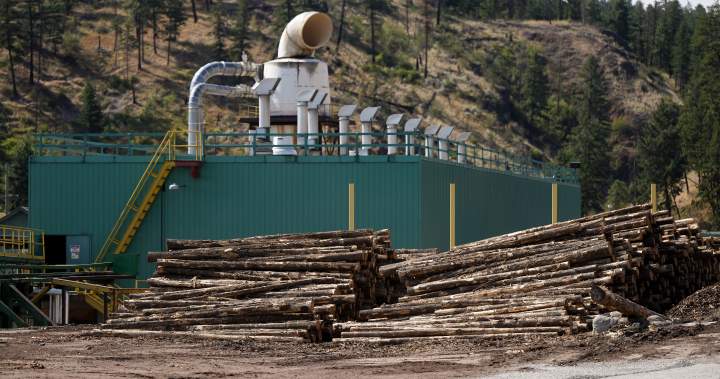 Relief for tariff-hit softwood lumber sector on the way: Industry minister