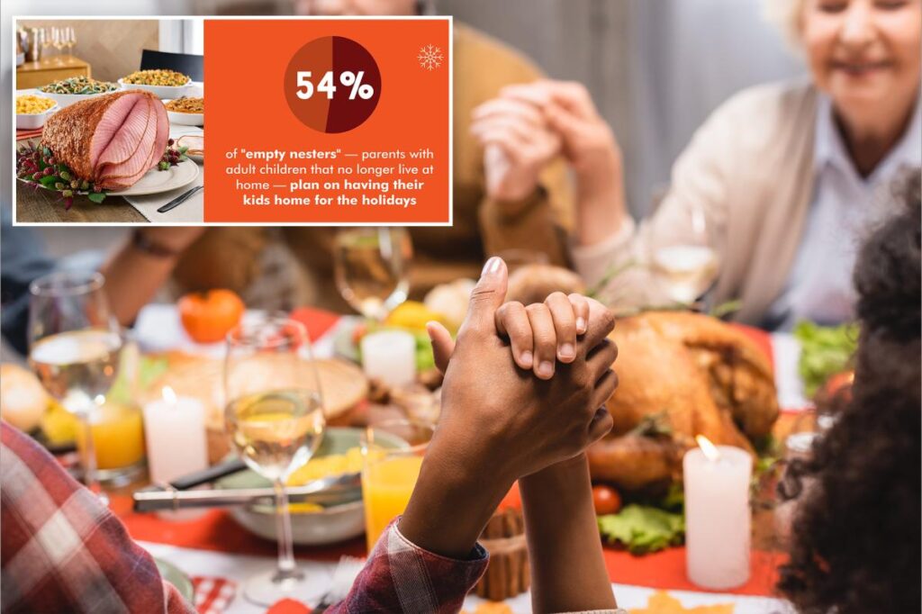 Empty nesters reveal how they convince their kids to come home for the holidays
