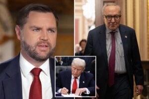 Vance faults Dems for previously rejecting ‘exact deal’ that reopened the government: ‘All for nothing’