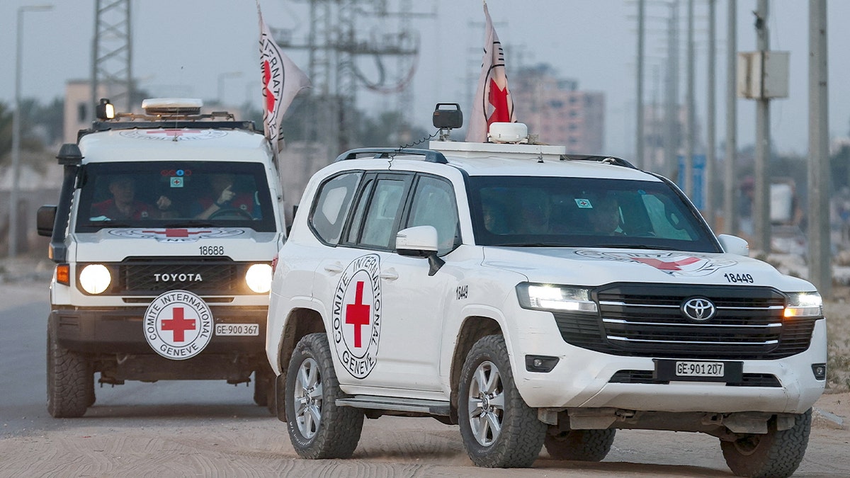 Red Cross vehicles in Gaza