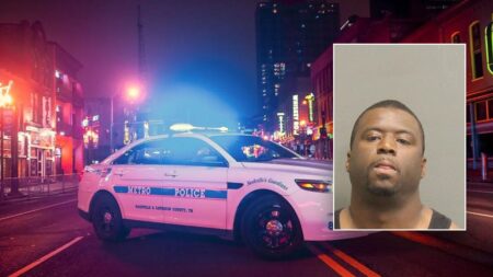 Convicted sex offender allegedly tried to kill woman he followed home from Nashville concert