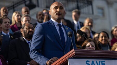 Dems say base is ‘rightfully’ angry over their leaders caving to GOP during shutdown fight: ‘Porch puppies’