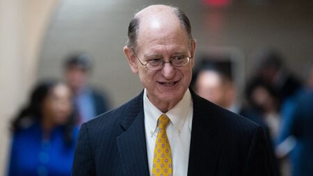 Democratic Rep. Brad Sherman denies viewing pornography on flight after viral photos surface online