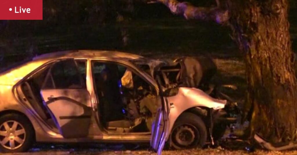 Man rushed to hospital after car crashes into tree at Herdsman Lake