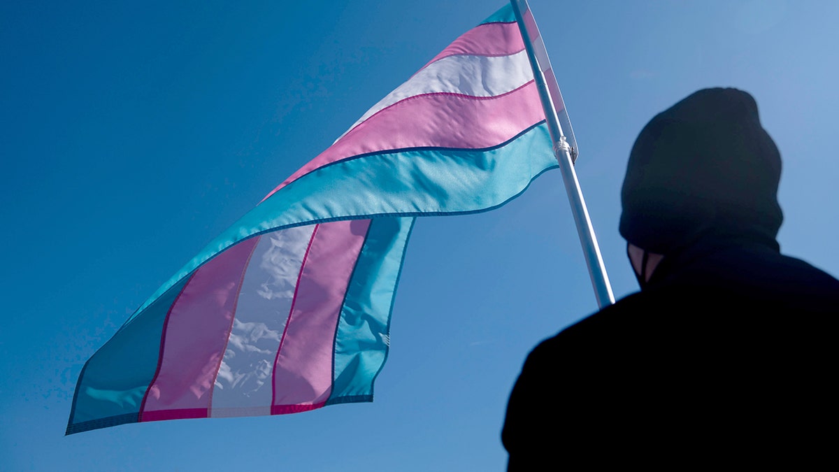 Person holds up a transgender flag during a protest