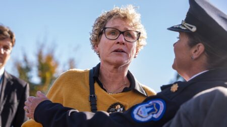 Dem veterans break silence after viral video causes backlash on social media: ‘Frustrated’